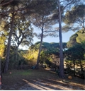 Photo numero 47270667 du bien UBI470840831